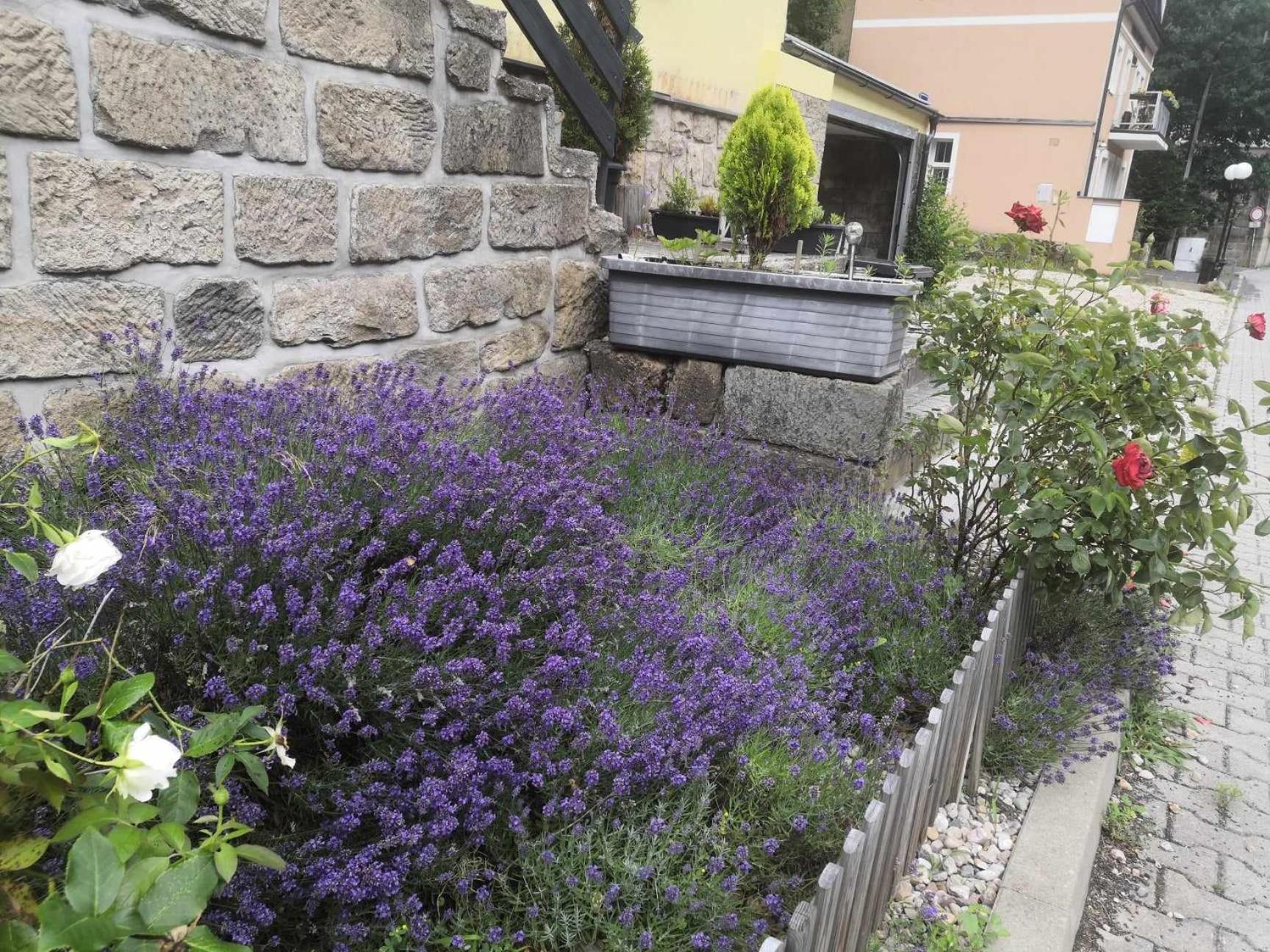 Apartament Hrensko32 *